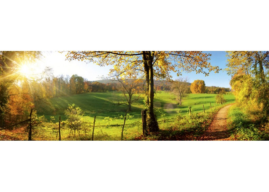 Keittiön välitila Meadow 260x60 cm