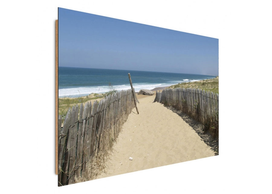 Taulu Road to the beach 70x100 cm