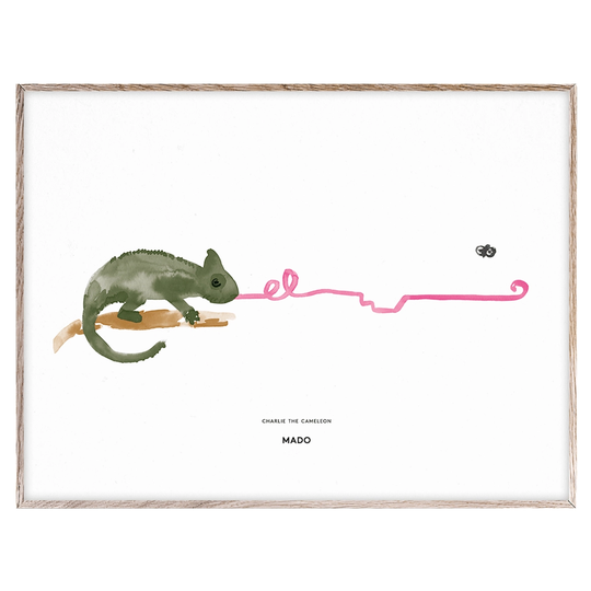 MADO Charlie the Chameleon juliste, 40 x 30 cm