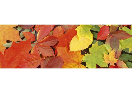 Keittiön välitila Leaves 350x60 cm