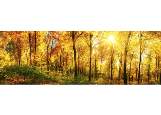 Keittiön välitila Sunny forest 260x60 cm