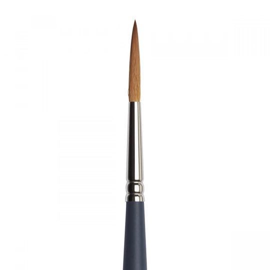 Winsor & Newton Professional Sivellin Rigger Koko 6